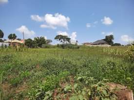 A picture of PRIME ESTATE PLOTS 12DECIMALS IN BULOBA TOWN AT UGX40M