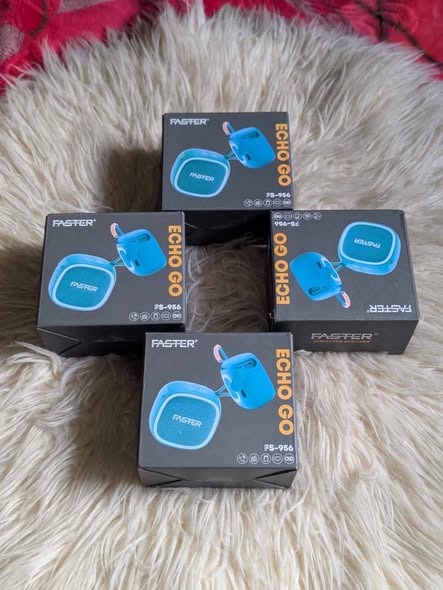 A picture of Faster echo Go Bluetooth speaker