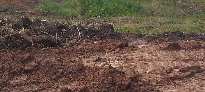 A picture of Plots at Namayumba
