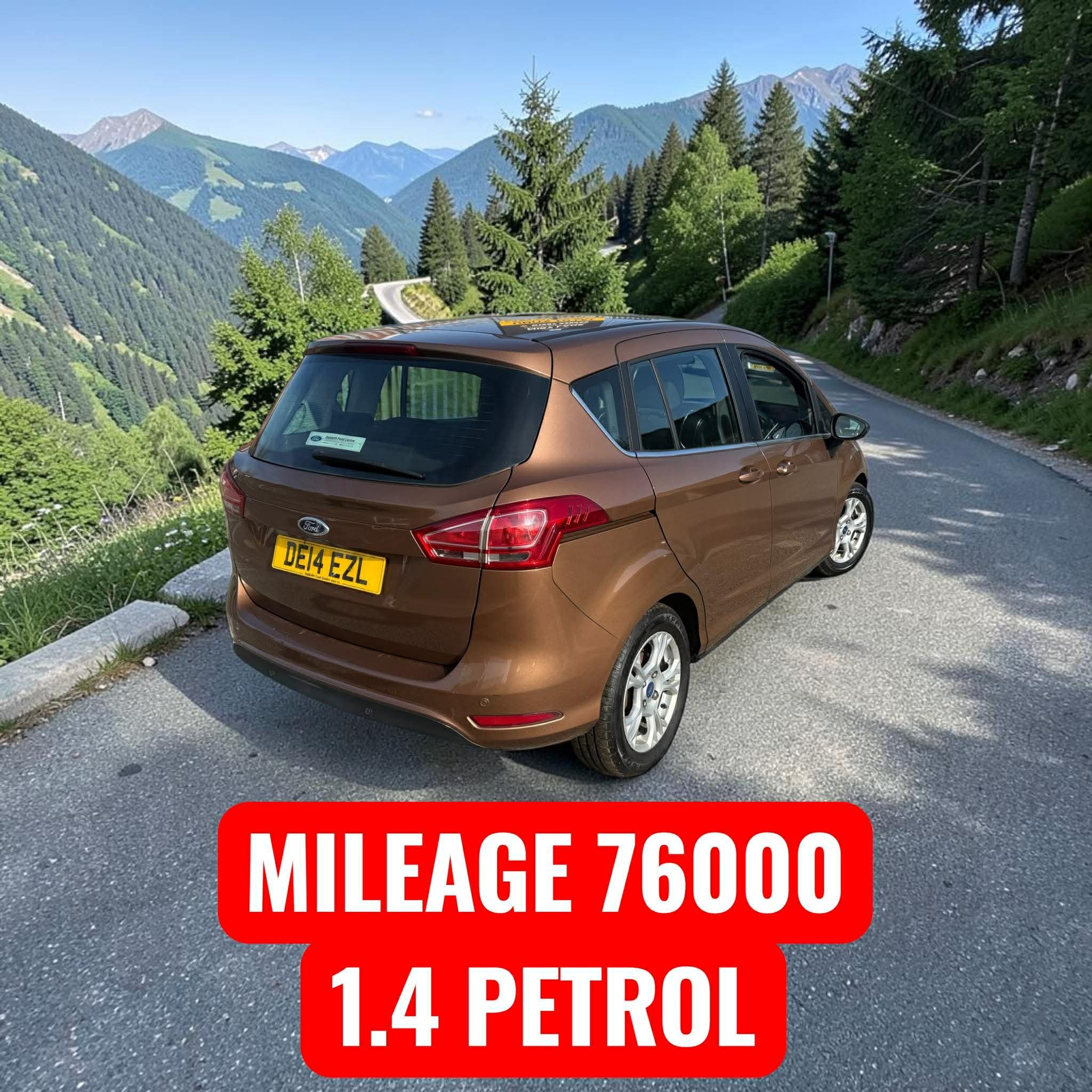 ford zetec