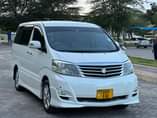 A picture of TOYOTA ALPHARD