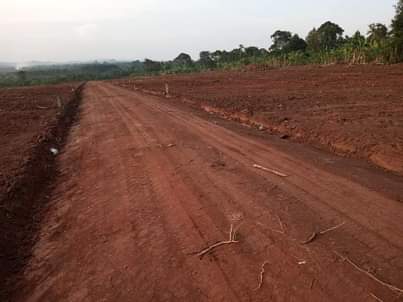 houses matugga