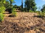 A picture of Plot For Sale