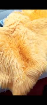 A picture of Round center carpets Available in different colors 250 000 0705394267