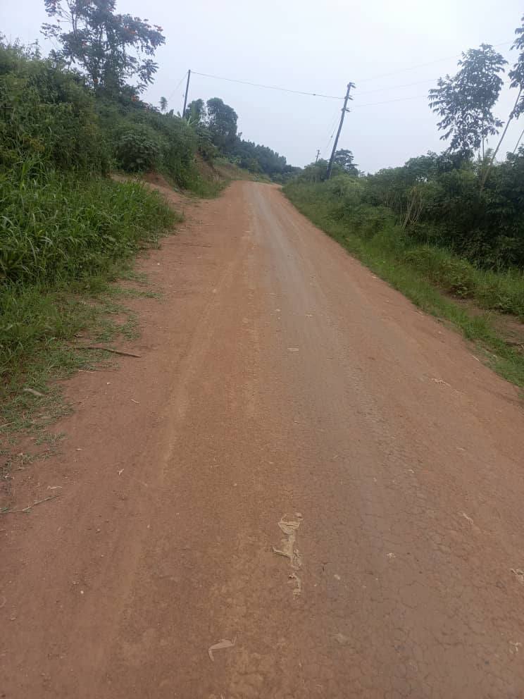A picture of 5 fertile acres of land on sale all at 125m