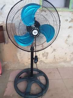 A picture of FENI INAUZWA