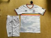 A picture of Uganda cranes jersey