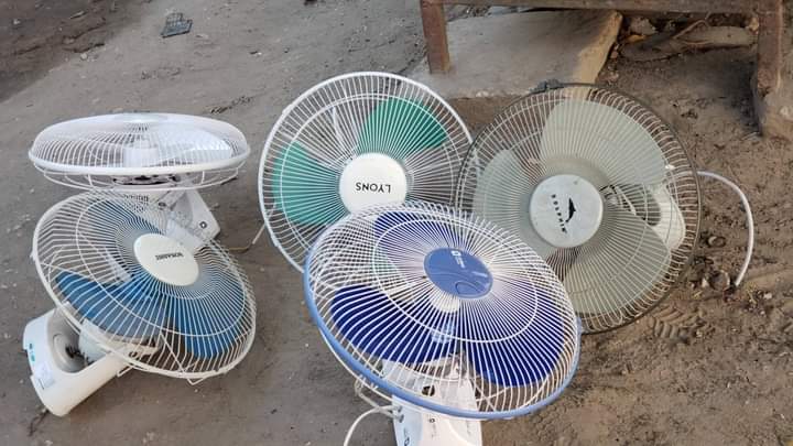 fans
