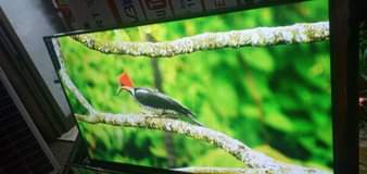 A picture of BRAND NEW GENUINE FLATSCREENS