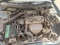 A picture of Fairly Used Honda Babyboy