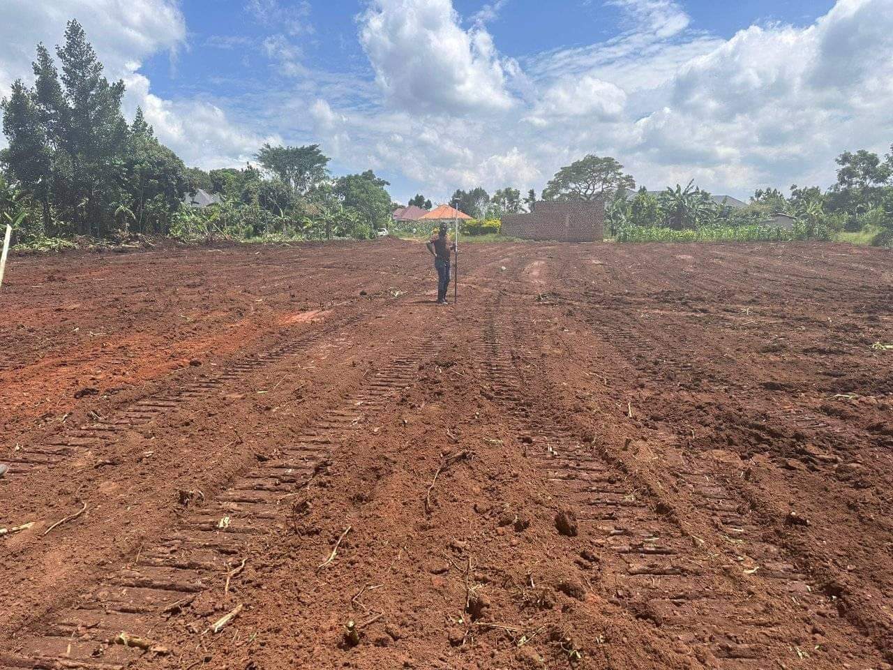 A picture of KAKIRI DAMBWE ESTATE