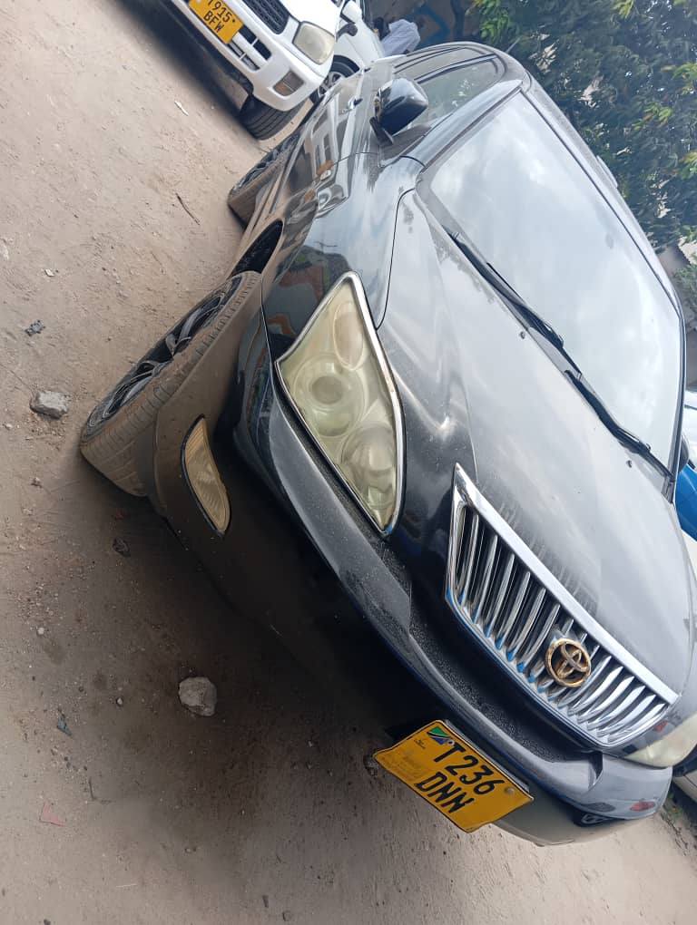 A picture of Harria new