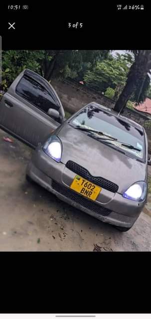 A picture of Vitz