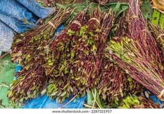 A picture of Miraa for sale