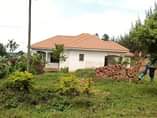 A picture of House for sale at 140m ush at Gayaza Kabanyoro.