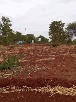 makutano plots