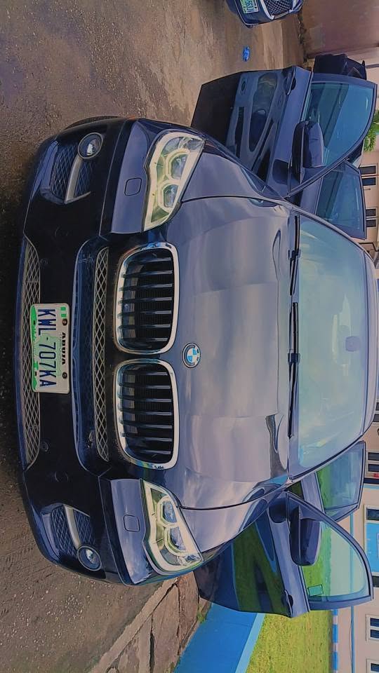 A picture of BMW X6 2013