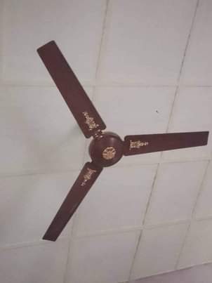 A picture of Fan