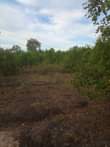 A picture of ZIMEBAKI HEKA 35 SHAMBA LAKUSAFISHA LINAUZWA MZENGA ZEGERO WILAYA YA