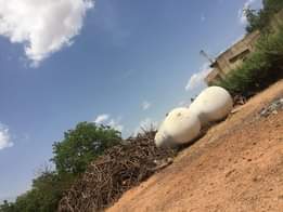 A picture of Distress sale each of the tank is 2 5tons the