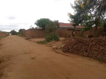 land