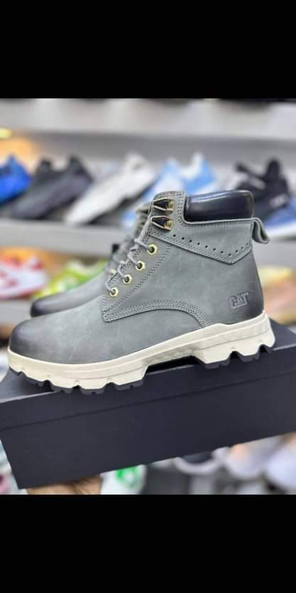 A picture of Boot kali
