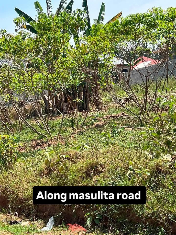 A picture of PLOTS IN KAKIRI