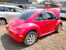 volkswagen beetle