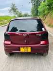 A picture of Vitz