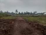 A picture of TUNAUZA VIWANJA VIKINDU NA KISEMVULE KUONA SITE BURE USAFIRI JUU
