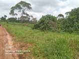 A picture of Acres for sale