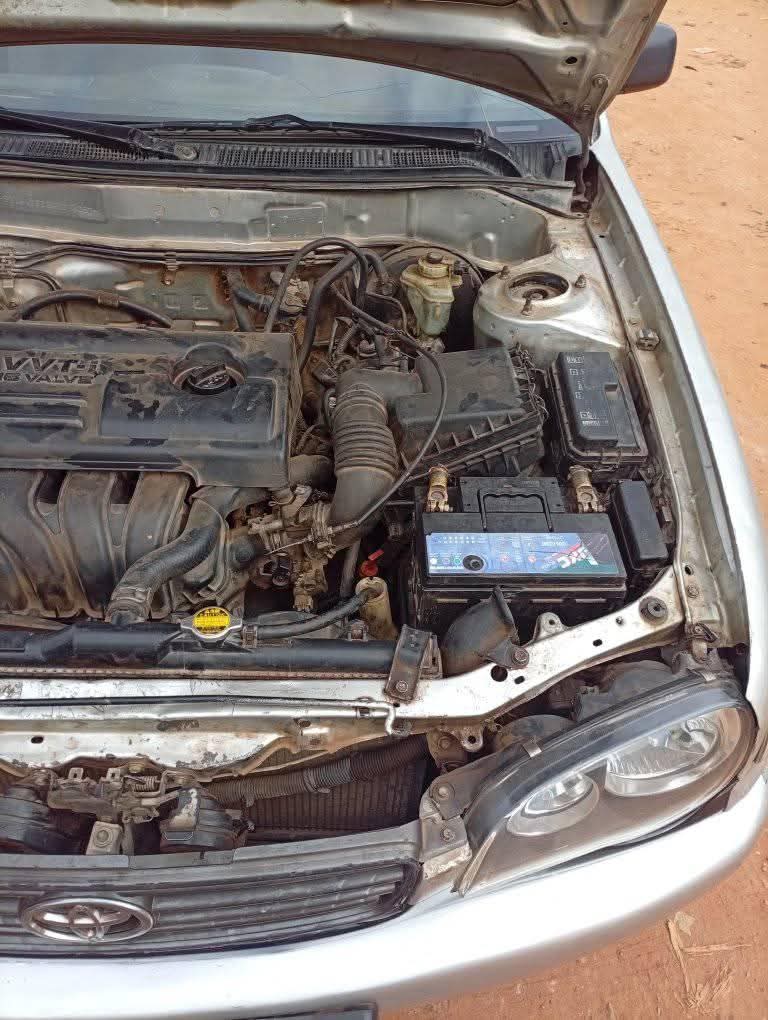 A picture of Toyota Corolla today deal