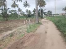 A picture of VINAUZWA MILION 3 CALL 0786111796 0744740524