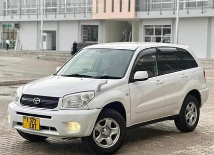 A picture of Rav4 killtime