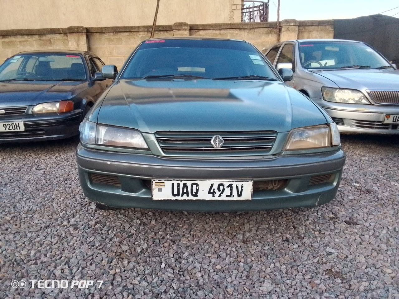 A picture of Premio ordinary