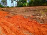 A picture of Brand New Estate Nansana Gganda plots start at 7m And