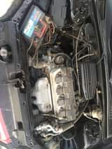 A picture of Honda civic