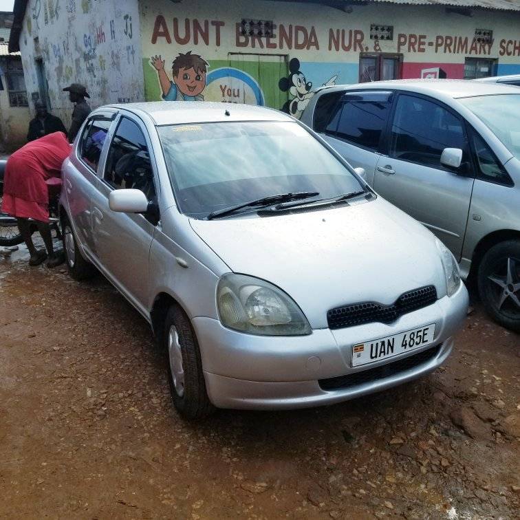 A picture of Vitz