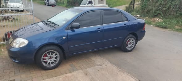 2004 cars