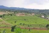 A picture of PLOTS FOR SALE LOCATED WAKISI KAKIRI GOBERO MAIN ROAD