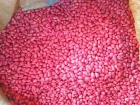 A picture of Stainless G Nut s Grinding Machine of 6kgs per G