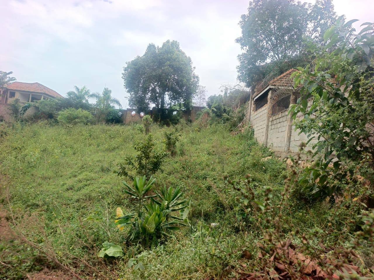 houses kyanja