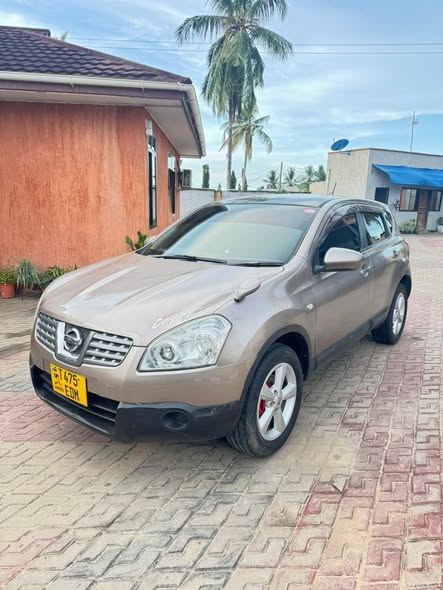 A picture of Nissan Dualis