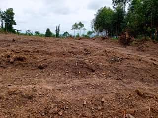 A picture of 50ft X 100ft affordable Estate Plots Agreement Sale available at