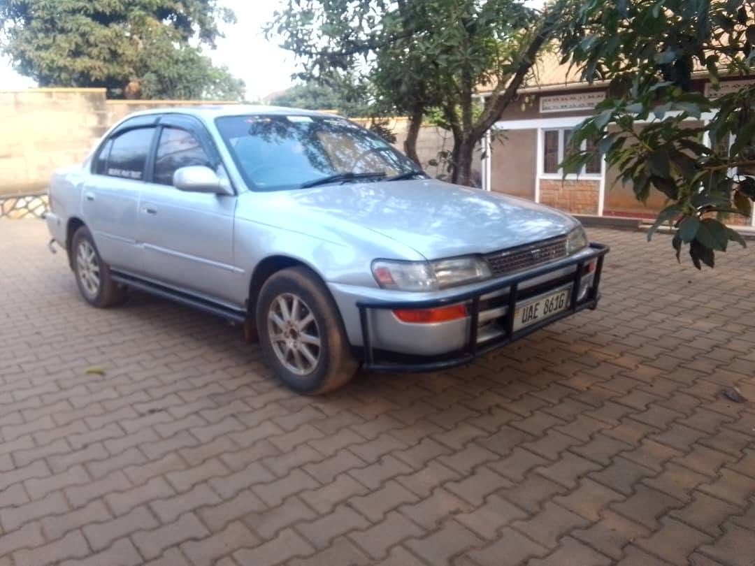 Ssekabira M.