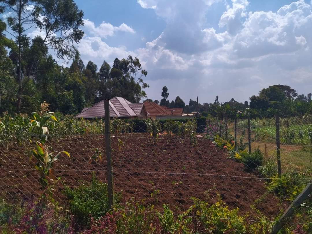 50 100 plots