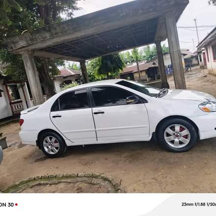 A picture of Toyota Corolla 2008