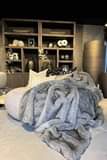 A picture of Blanket