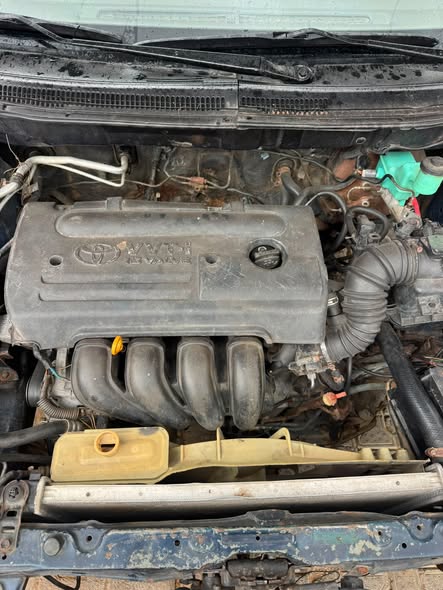 A picture of 2007 Toyota corolla 2007 model