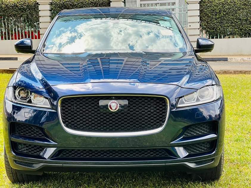 jaguar